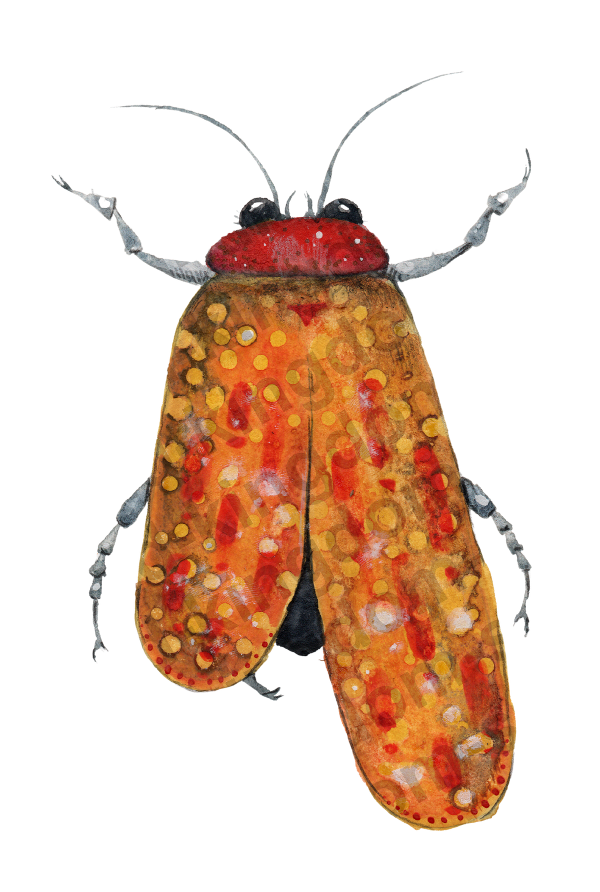 bug#0129 - card