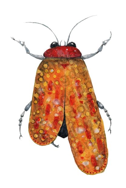 bug#0129 - card