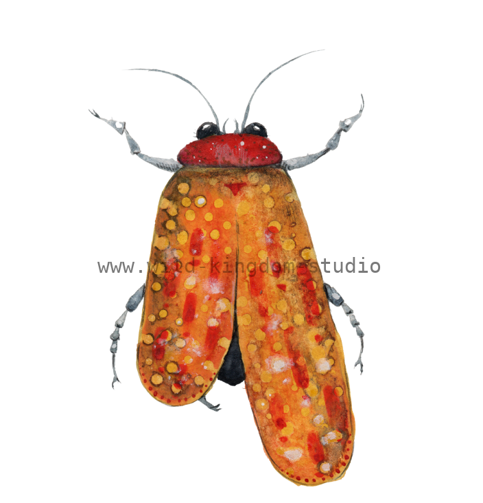 bug#0129 - card