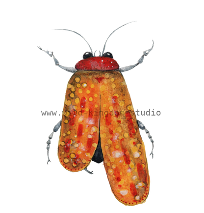 bug#0129 - card