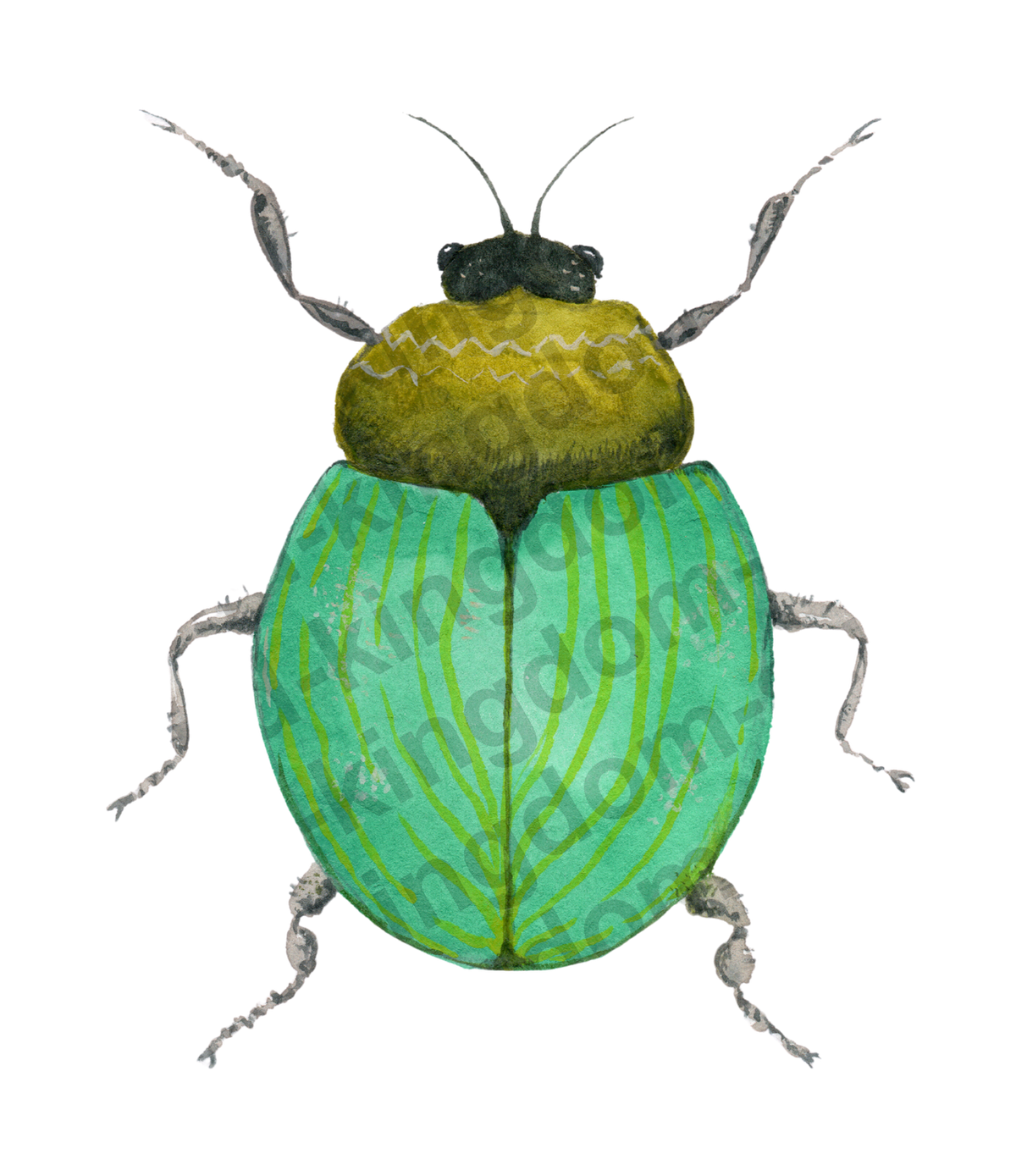 bug#0132 - card