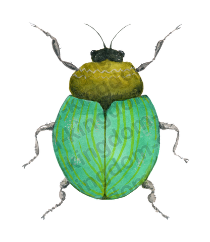 bug#0132 - card