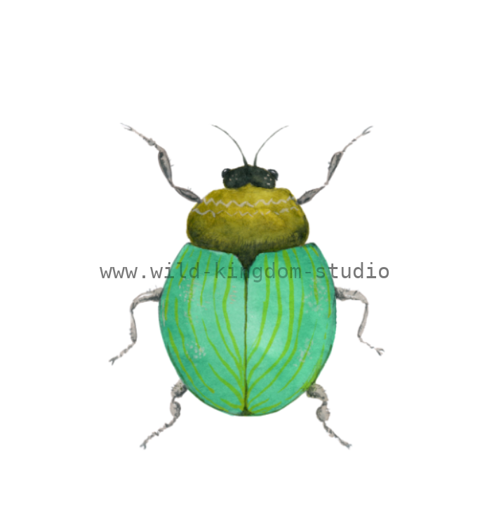 bug#0132 - card
