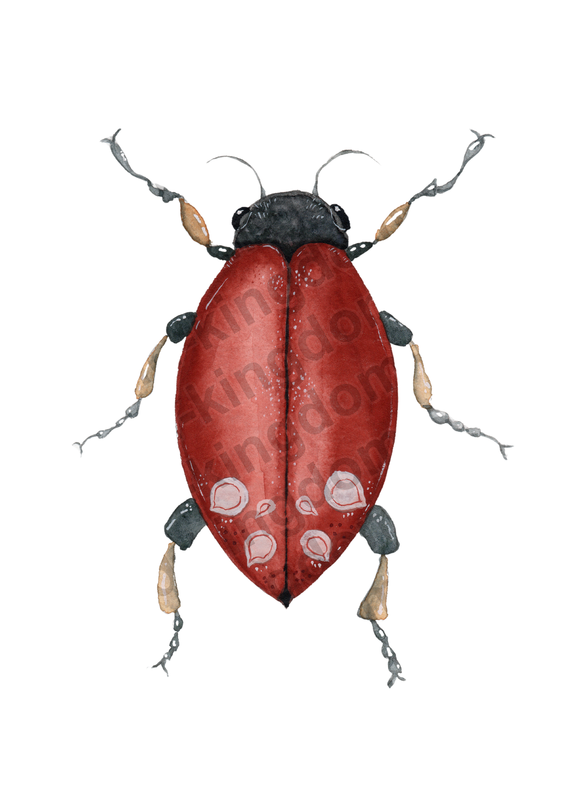 bug#0133 - card