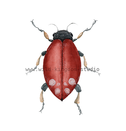 bug#0133 - card