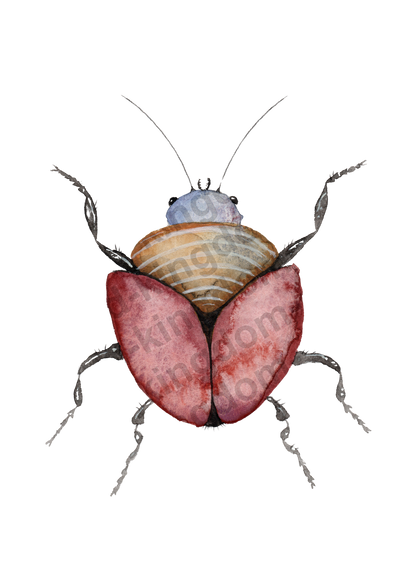 bug#0134 - card