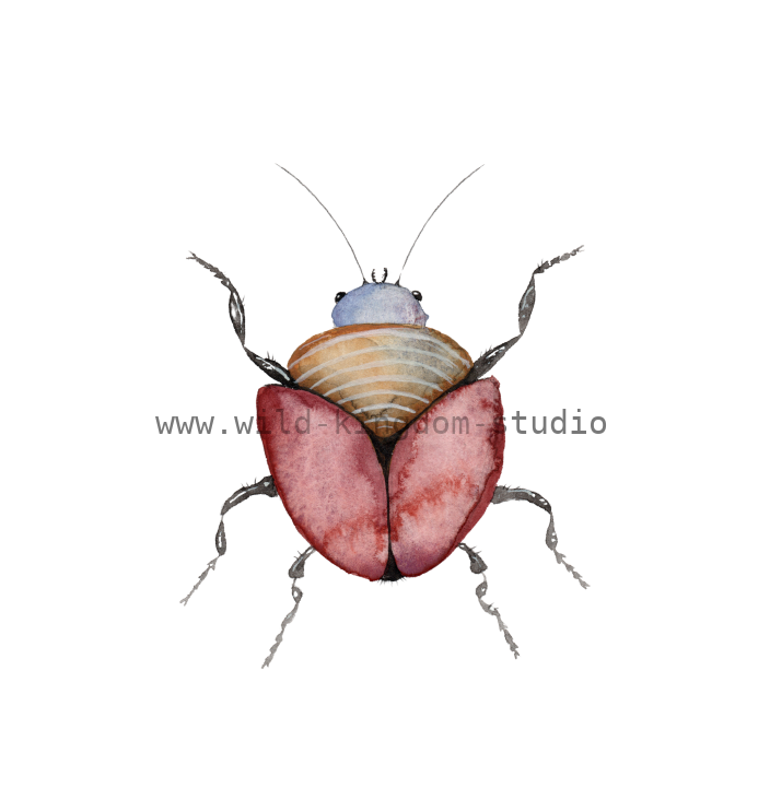 bug#0134 - card