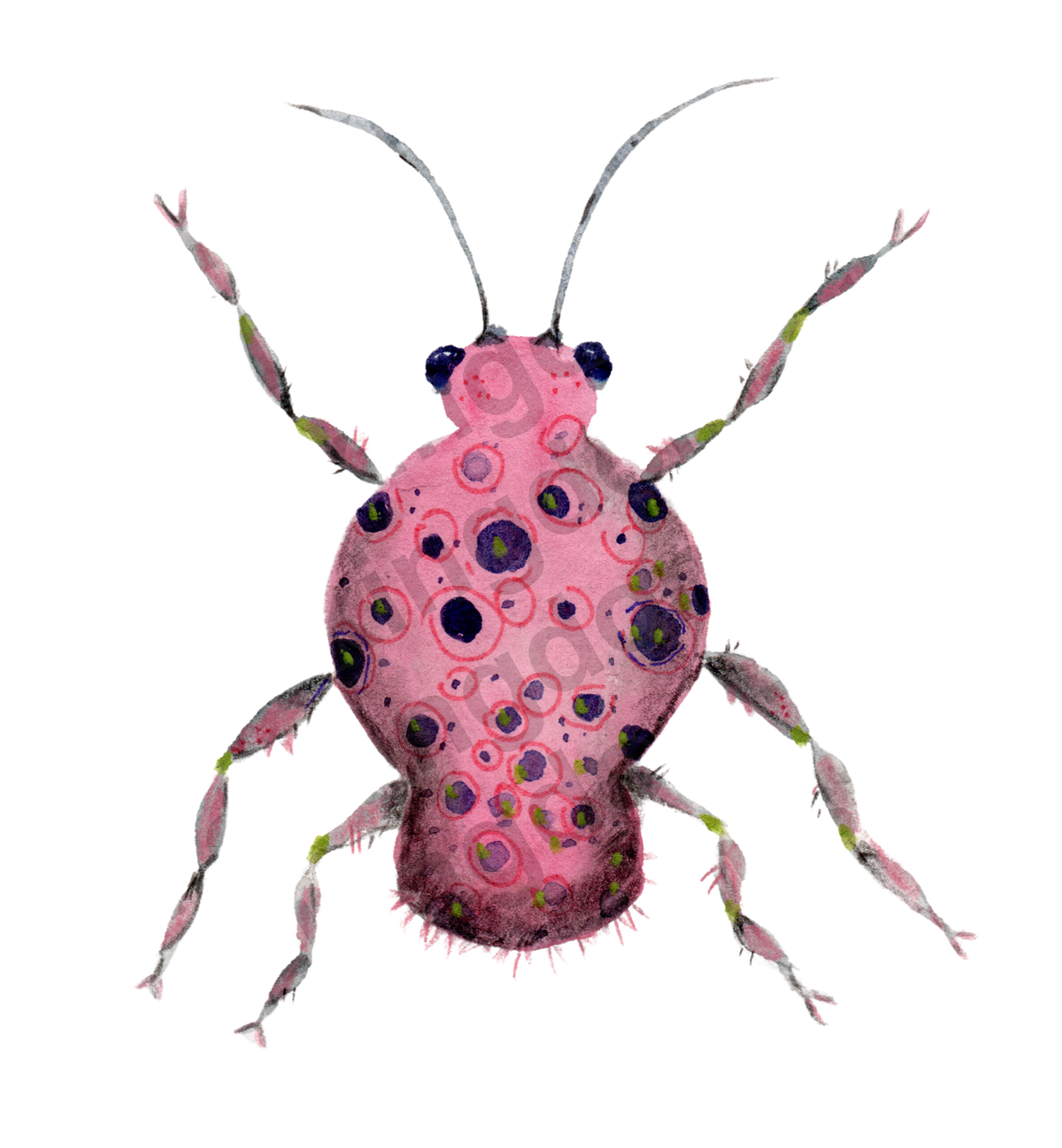 bug#0136 - card