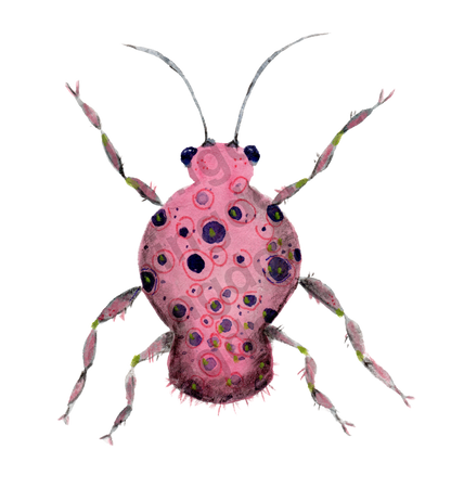 bug#0136 - card
