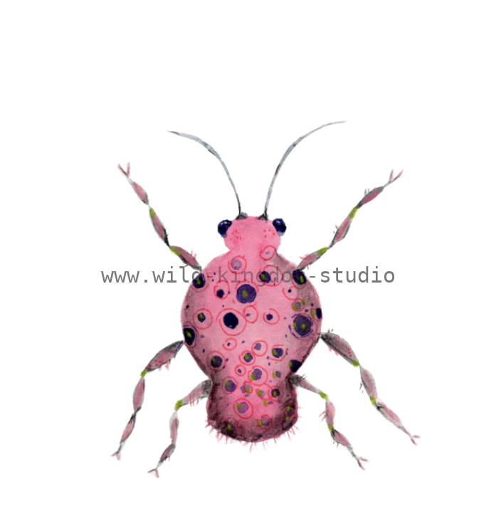 bug#0136 - card