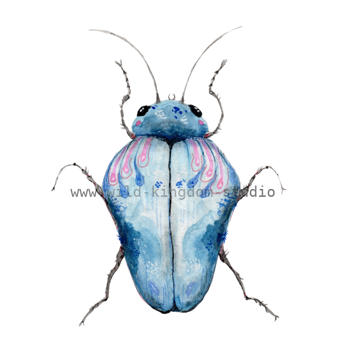 bug#0137 - card