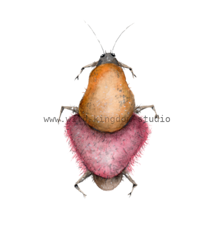 bug#0138 - card
