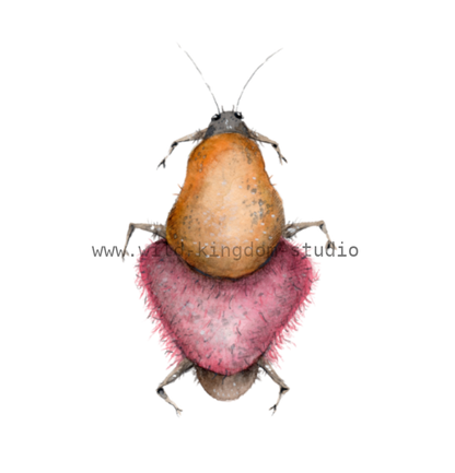 bug#0138 - card