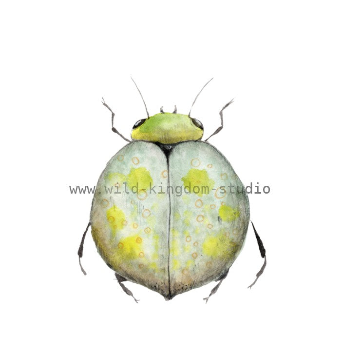 bug#0140 - card