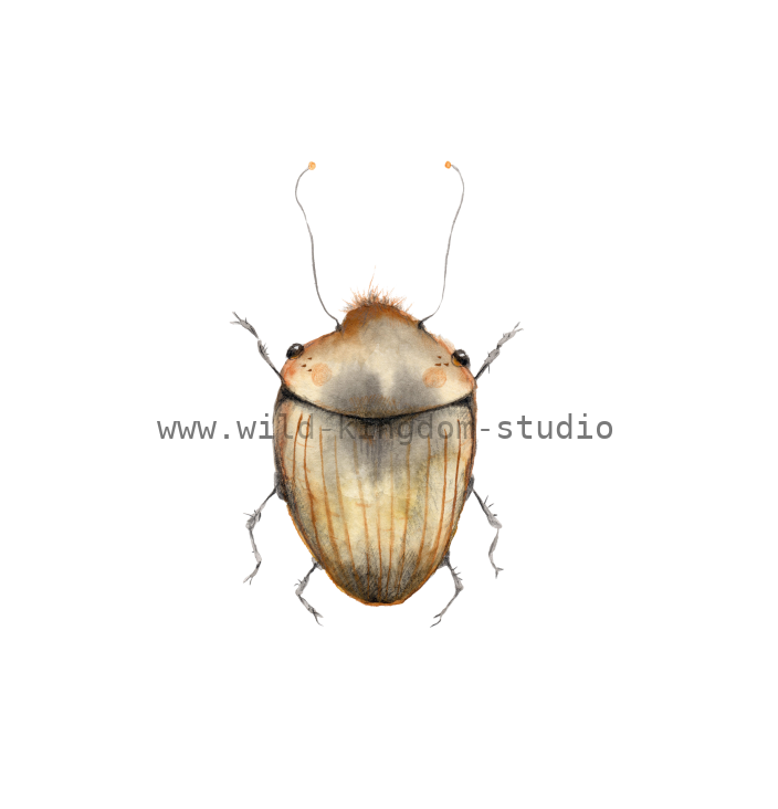 bug#0141 - card