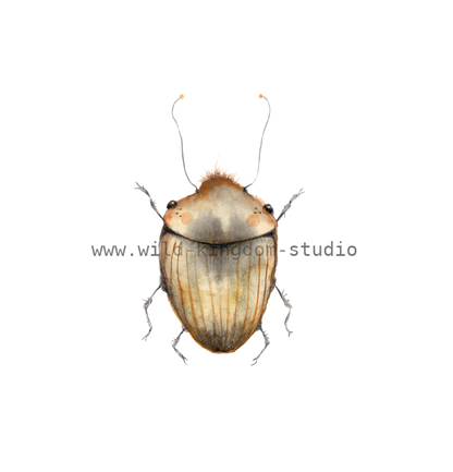 bug#0141 - card