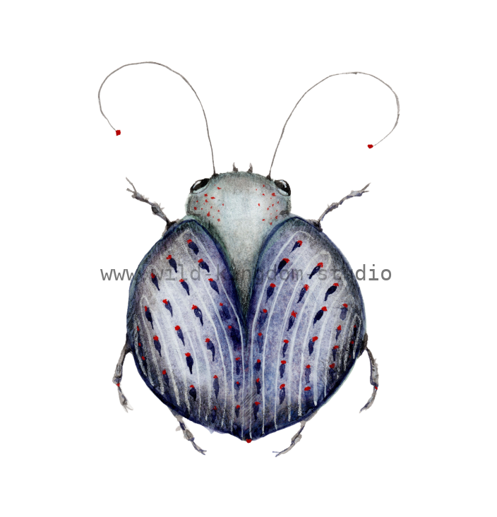 bug#0142 - card