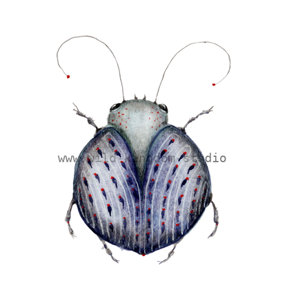 bug#0142 - card