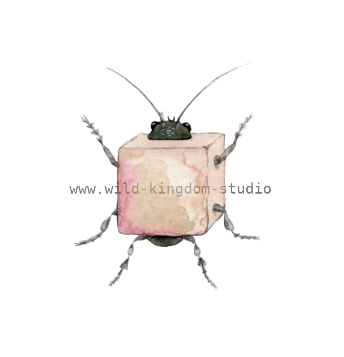 Bug in a Box