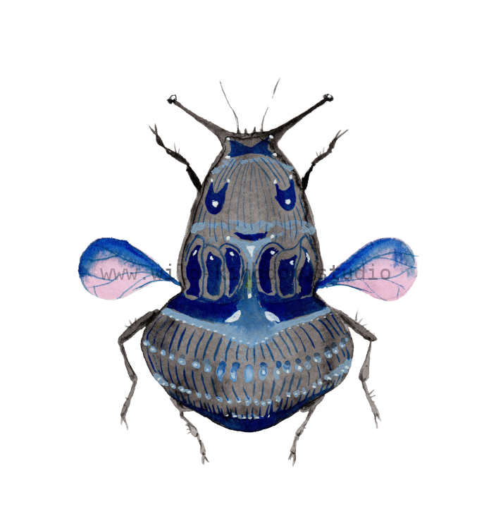 bug#0146 - card