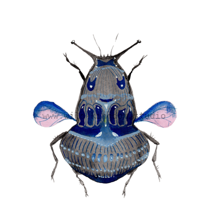 bug#0146 - card