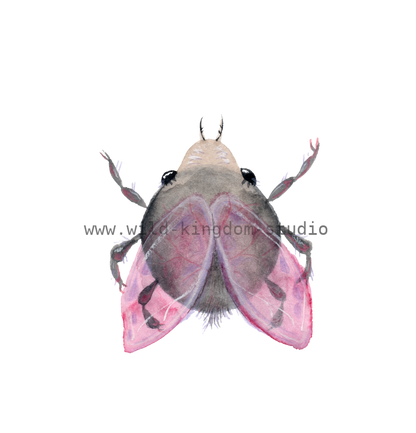 bug#0148 - card