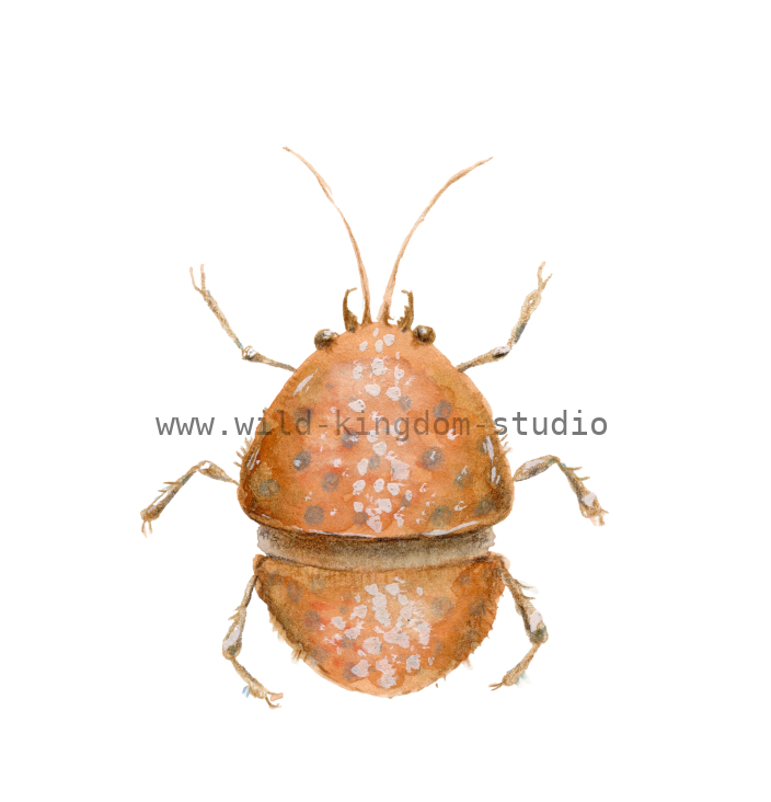 bug#0149 - card