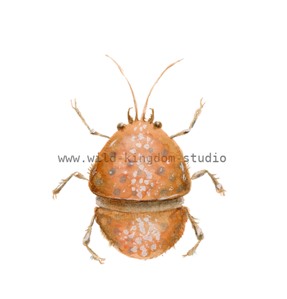bug#0149 - card