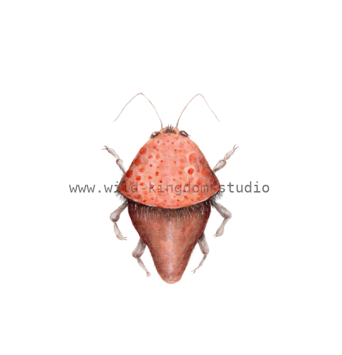 bug#0150 - card