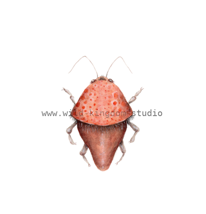 bug#0150 - card