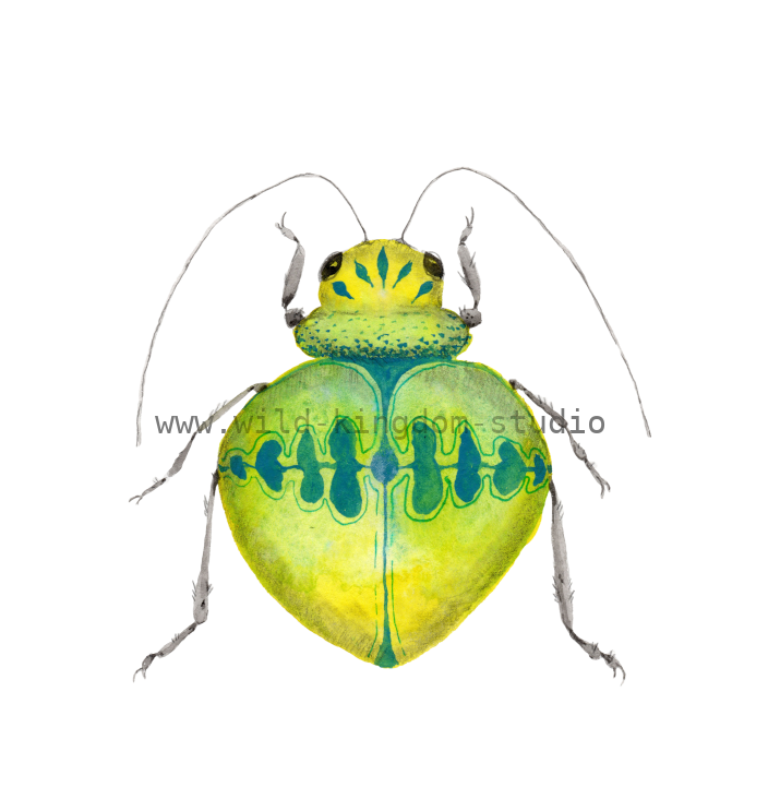 bug#0155 - card