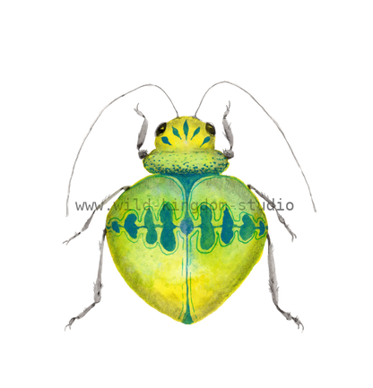 bug#0155 - card