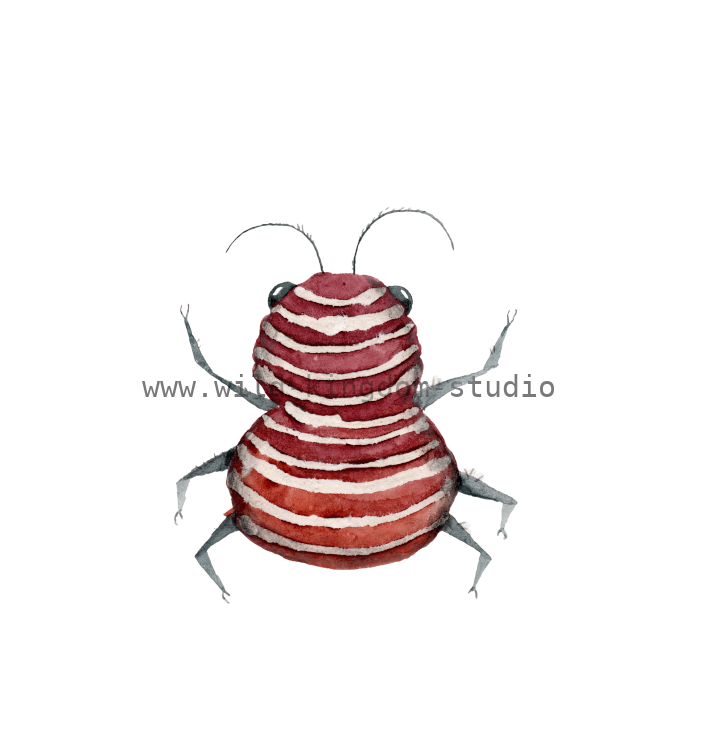 bug#0156 - card