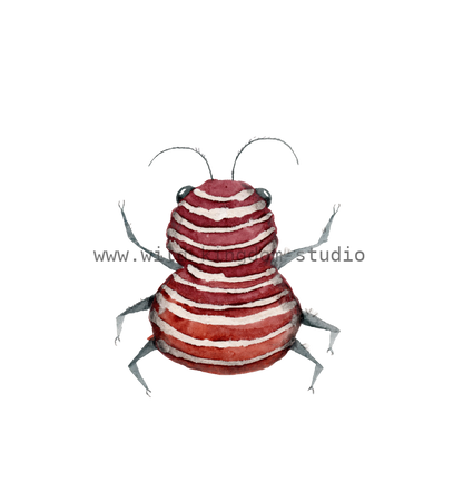 bug#0156 - card