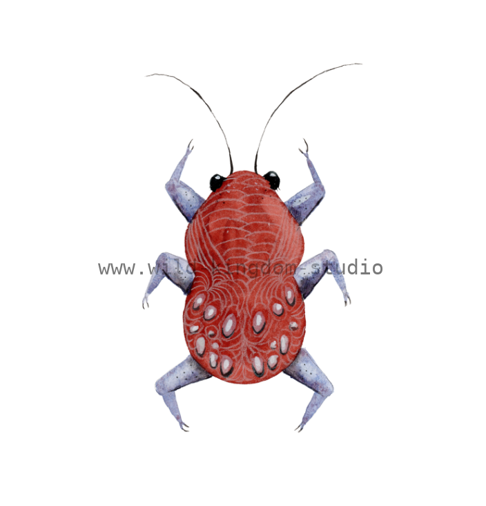 bug#0157 - card