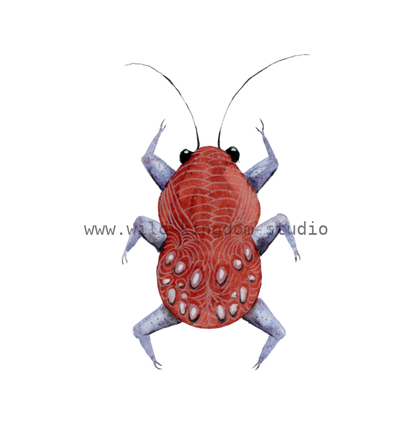 bug#0157 - card