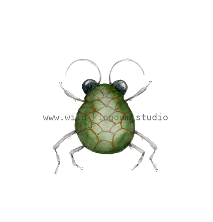 bug#0159 - card