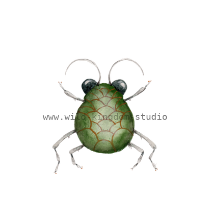 bug#0159 - card