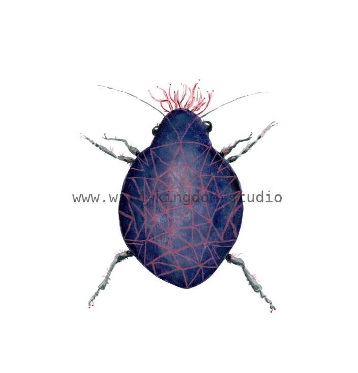 bug#0160 - card