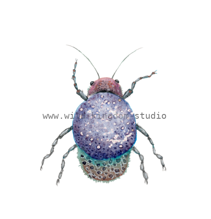 bug#0161 - card