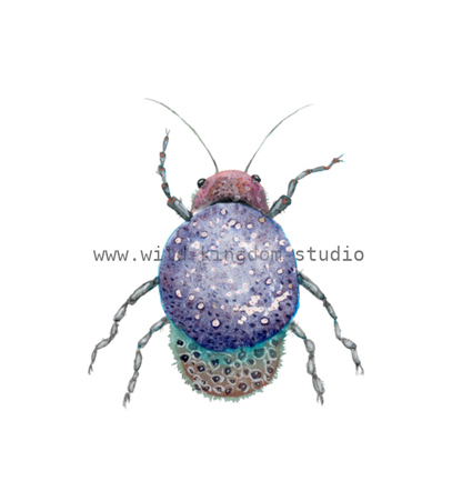 bug#0161 - card