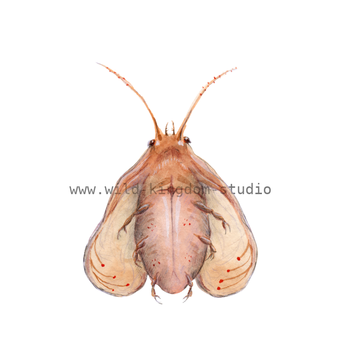 bug#0165- card