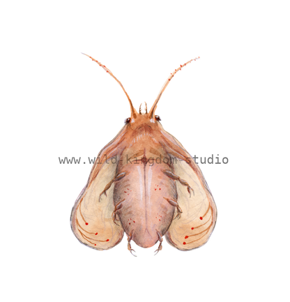 bug#0165- card