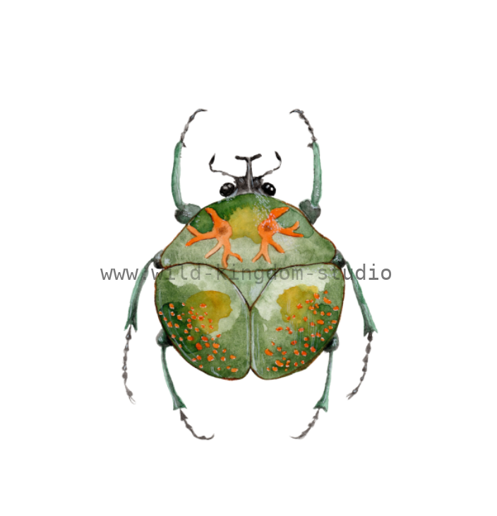 bug#0166 - card