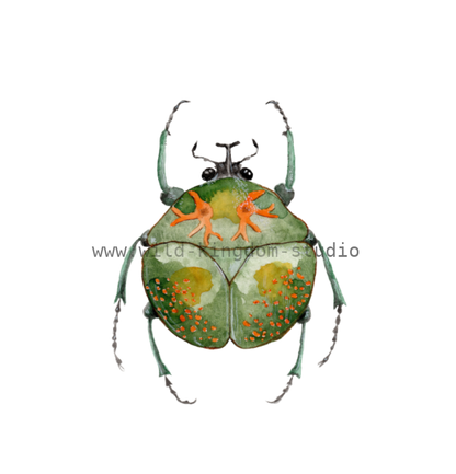 bug#0166 - card