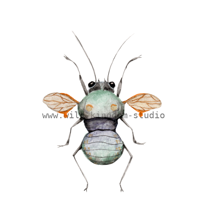 bug#0167 - card