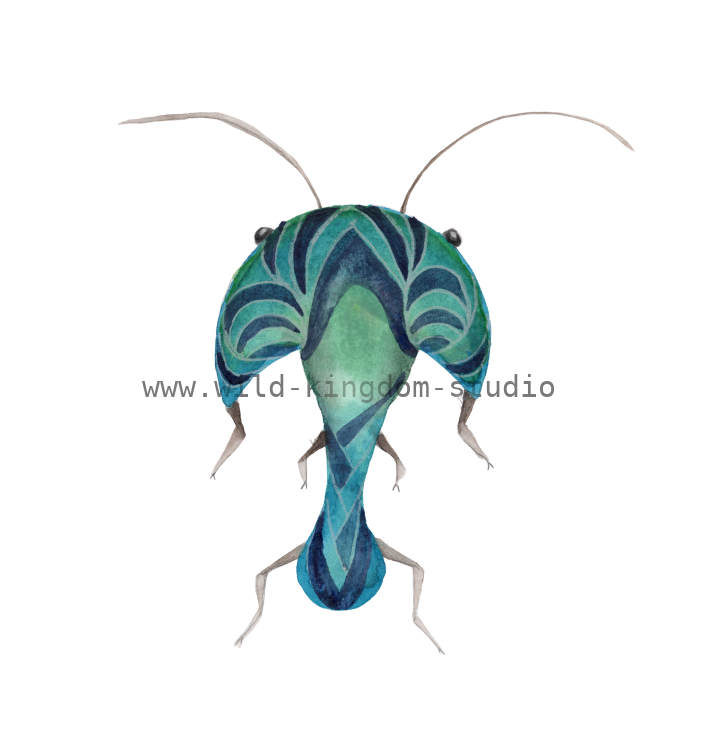 bug#0175 - card