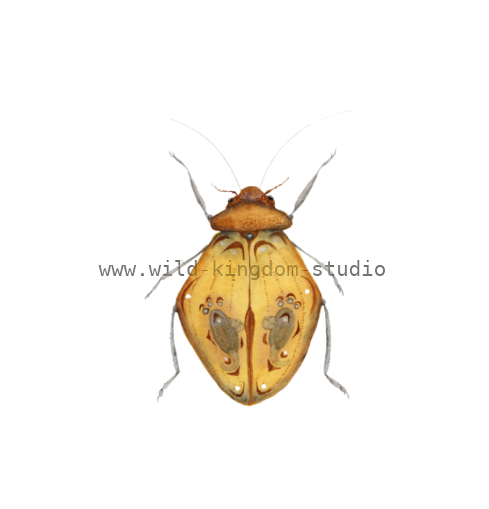 bug#0176 - card