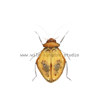 bug#0176 - card