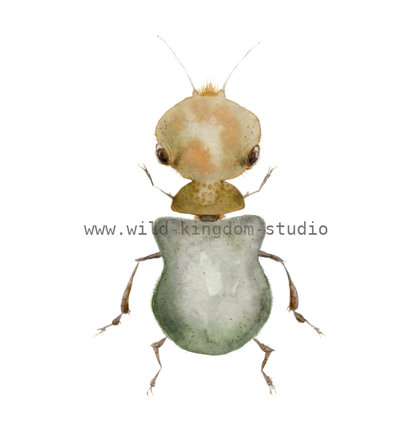 bug#0177 - card